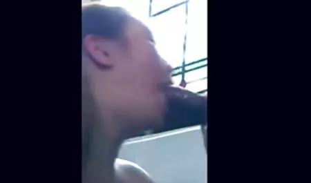 الأحمر الكبير كتاب سكس عربي سكس مصري في المخزون
