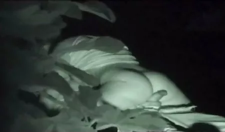 الجنس سميكة سكس مصري تبادل زوجات الأبنوس