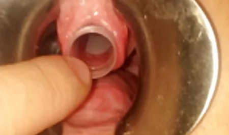 يوم السبت مايك الأزرق الأسود طبطب بي-بي-سي افلام س مصرى ، ثم رذاذ تان سي